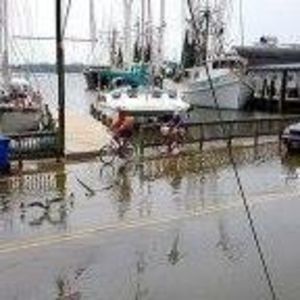 Meet your Posher, Cynthia